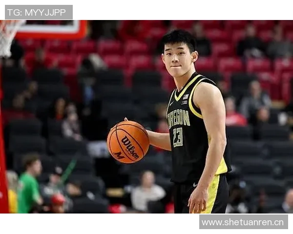 媒体人透露谢尔斯塔德赛季报销林葳将稳坐球队主控位置 媒体人透露谢尔斯塔德赛季报销林葳将稳坐球队主控位置