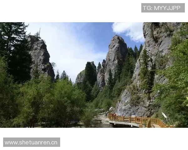 林书豪与家人畅游阿里山共享美丽风景感受大自然的魅力